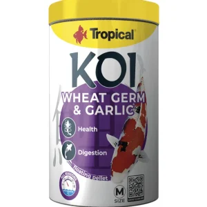 Kracherpreis Tropical Koi Wheat Germ & Garlic Pellet Size M 0,32 kg Premiumfutter